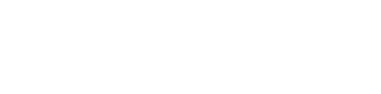 Logo blanc - Fêtes maritimes de Douarnenez