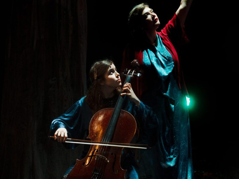 Birds on a Wire_Création 2024 ©Jeremiah