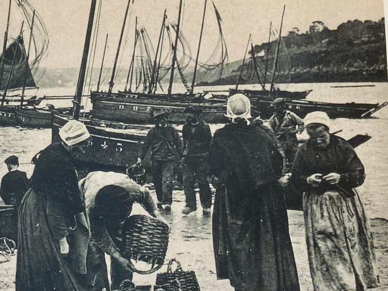 CONSERVERIES EN BRETAGNE_IMG_0513 2