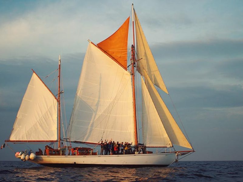 skeaf-institut-brelidy